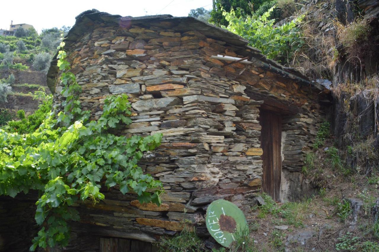 Casa Do Azereiro Villa Casal do Rei  Buitenkant foto